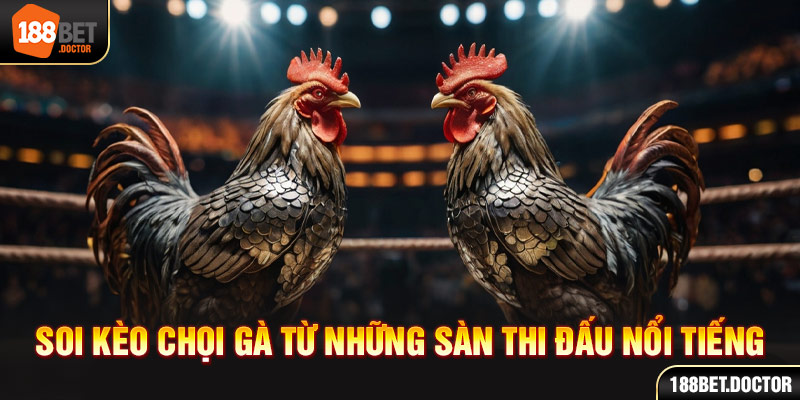 soi kèo chọi gà từ những sân thi đấu nổi tiếng